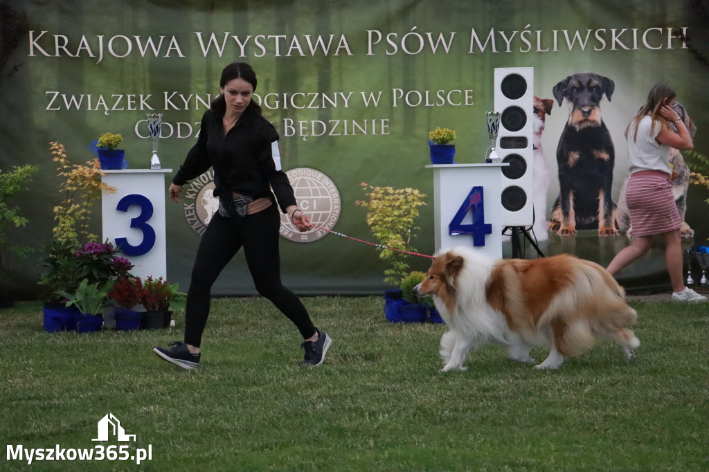 Fotorelacja - Wystawa Psów Rasowych GNIAZDÓW 2024r. SOBOTA II