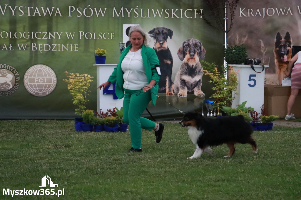 Fotorelacja - Wystawa Psów Rasowych GNIAZDÓW 2024r. SOBOTA II