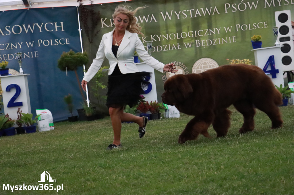 Fotorelacja - Wystawa Psów Rasowych GNIAZDÓW 2024r. SOBOTA II