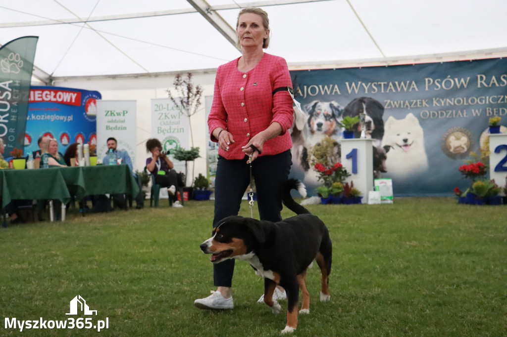 Fotorelacja - Wystawa Psów Rasowych GNIAZDÓW 2024r. SOBOTA II