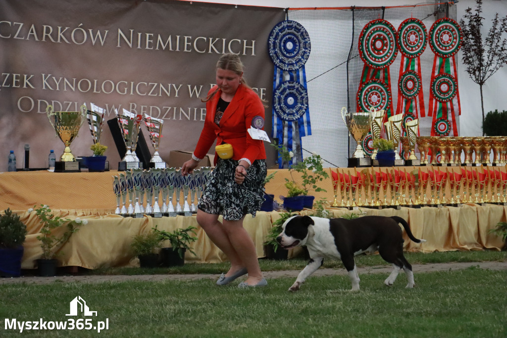 Fotorelacja - Wystawa Psów Rasowych GNIAZDÓW 2024r. SOBOTA II