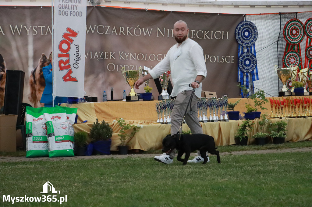 Fotorelacja - Wystawa Psów Rasowych GNIAZDÓW 2024r. SOBOTA II