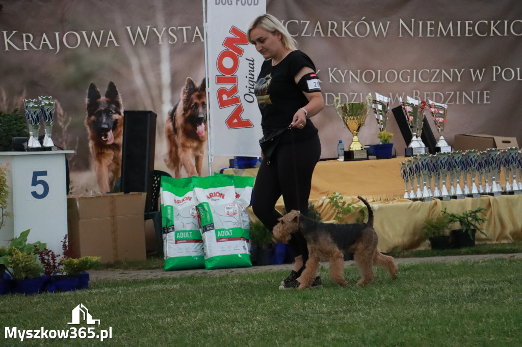 Fotorelacja - Wystawa Psów Rasowych GNIAZDÓW 2024r. SOBOTA II