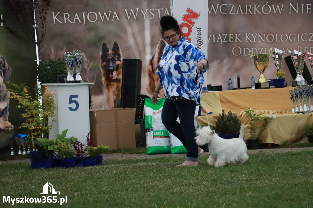 Fotorelacja - Wystawa Psów Rasowych GNIAZDÓW 2024r. SOBOTA II