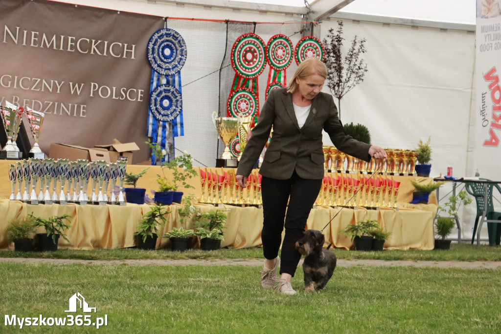 Fotorelacja - Wystawa Psów Rasowych GNIAZDÓW 2024r. SOBOTA II