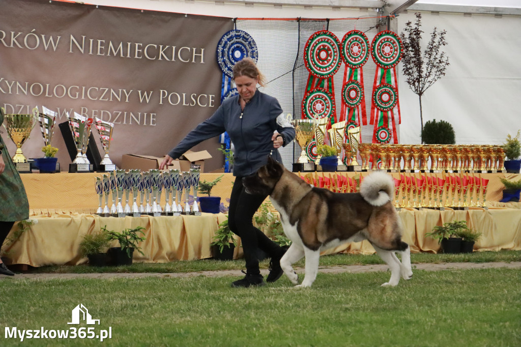 Fotorelacja - Wystawa Psów Rasowych GNIAZDÓW 2024r. SOBOTA II