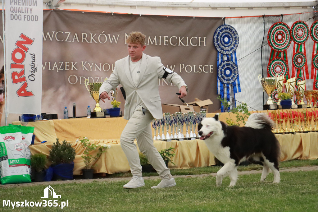 Fotorelacja - Wystawa Psów Rasowych GNIAZDÓW 2024r. SOBOTA II