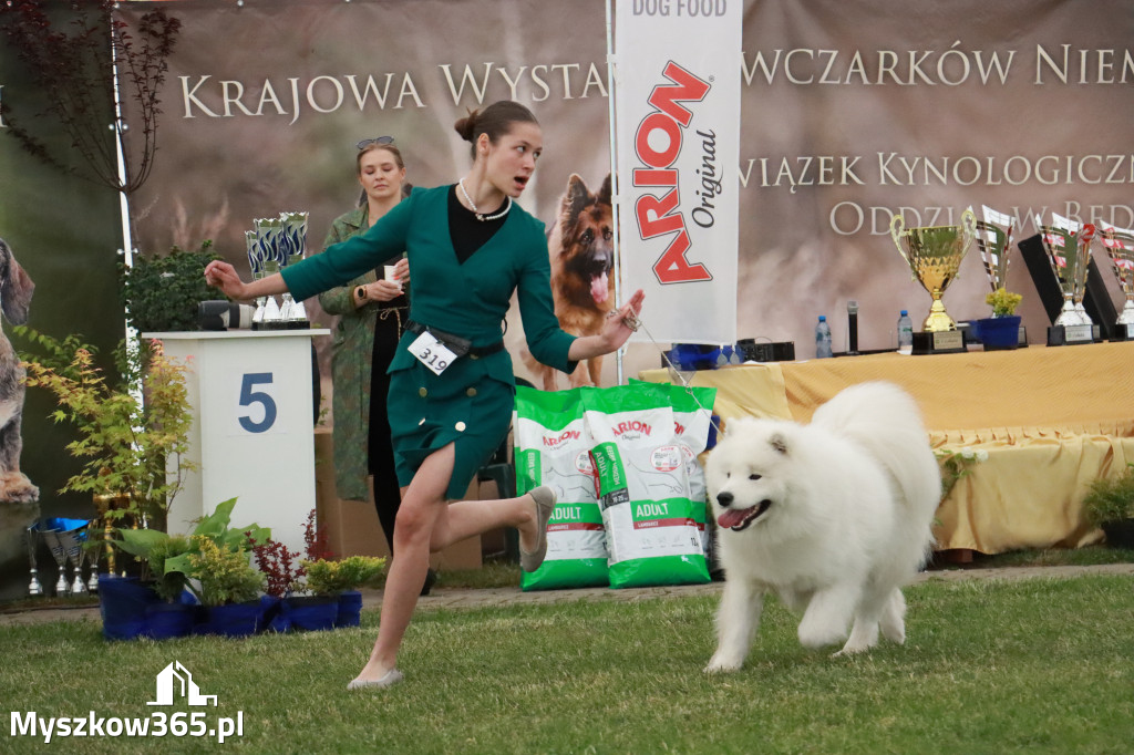 Fotorelacja - Wystawa Psów Rasowych GNIAZDÓW 2024r. SOBOTA II