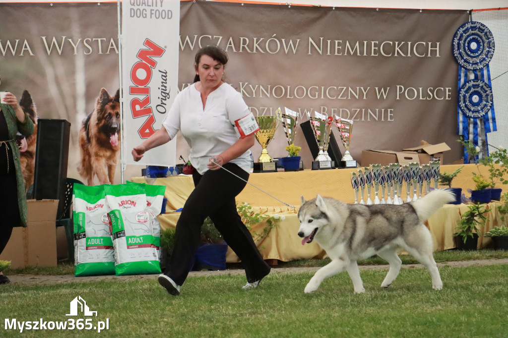 Fotorelacja - Wystawa Psów Rasowych GNIAZDÓW 2024r. SOBOTA II