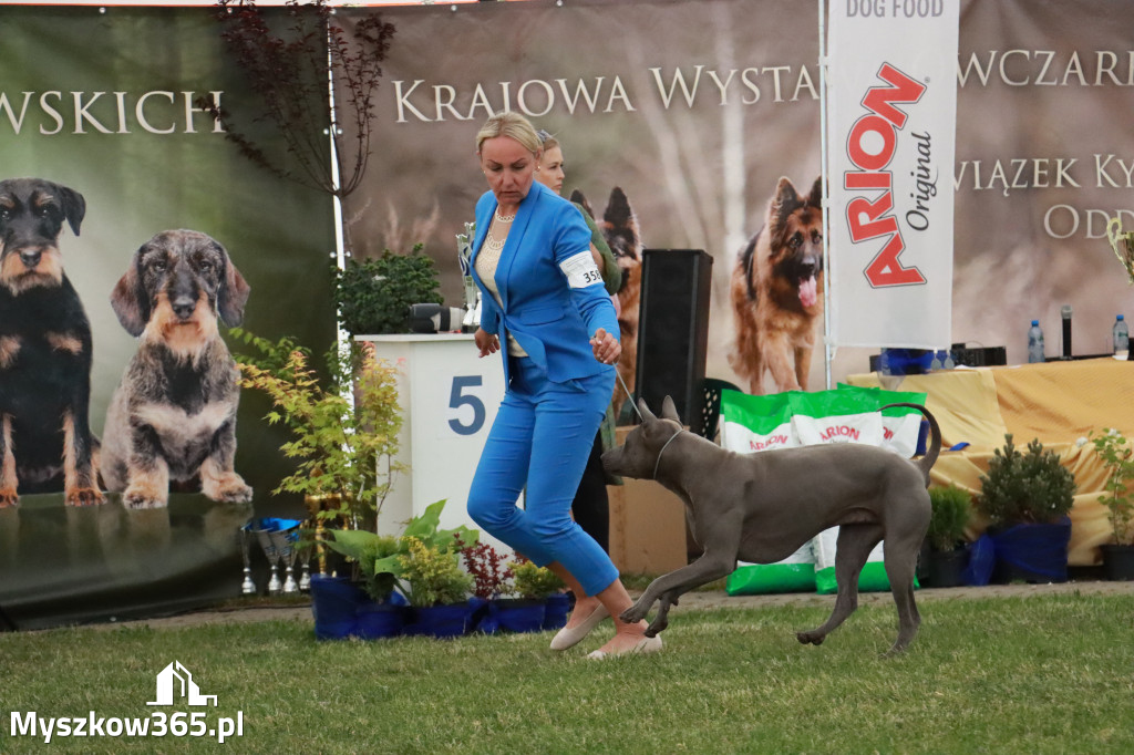 Fotorelacja - Wystawa Psów Rasowych GNIAZDÓW 2024r. SOBOTA II