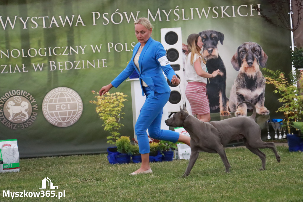 Fotorelacja - Wystawa Psów Rasowych GNIAZDÓW 2024r. SOBOTA II