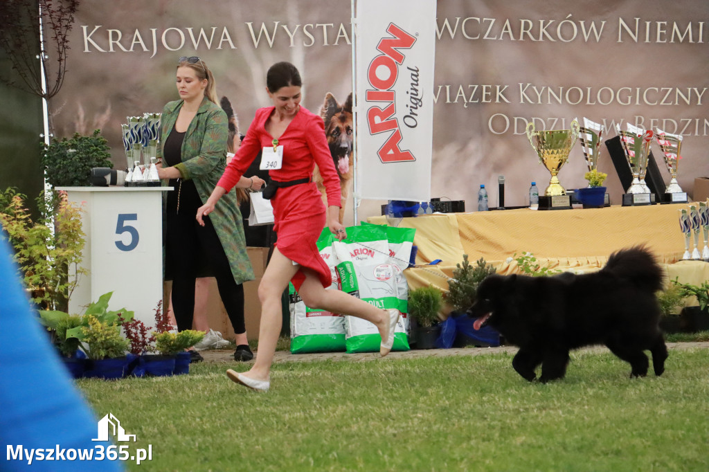 Fotorelacja - Wystawa Psów Rasowych GNIAZDÓW 2024r. SOBOTA II