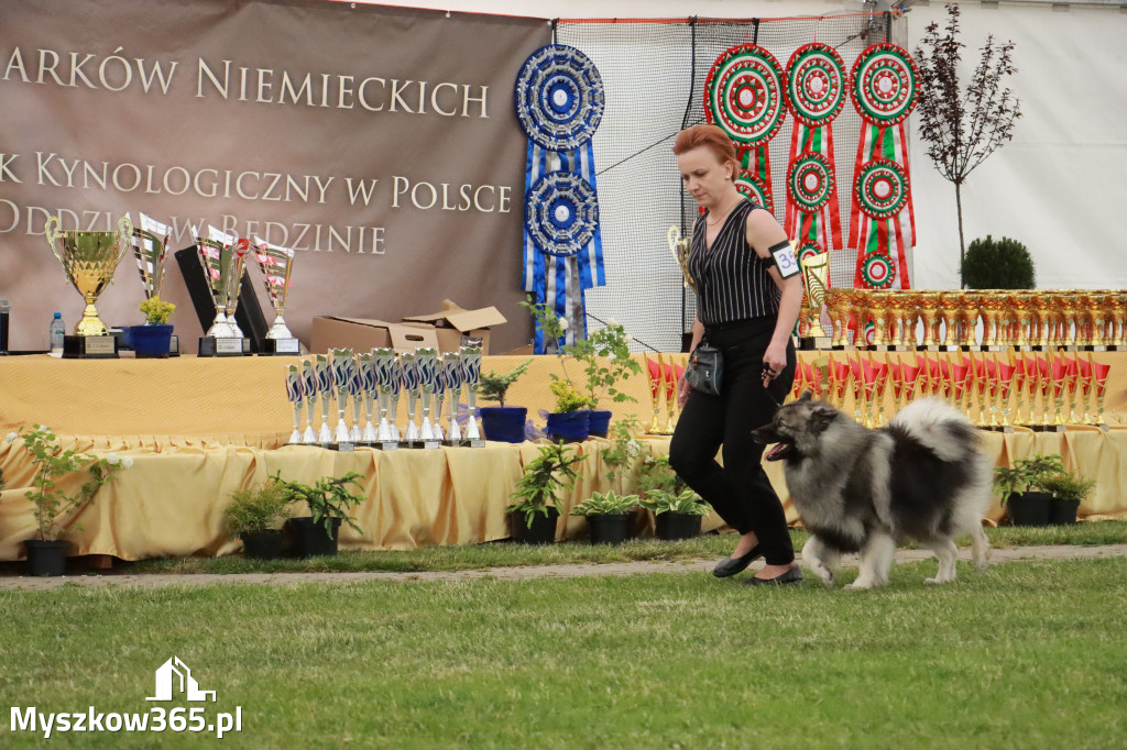 Fotorelacja - Wystawa Psów Rasowych GNIAZDÓW 2024r. SOBOTA II