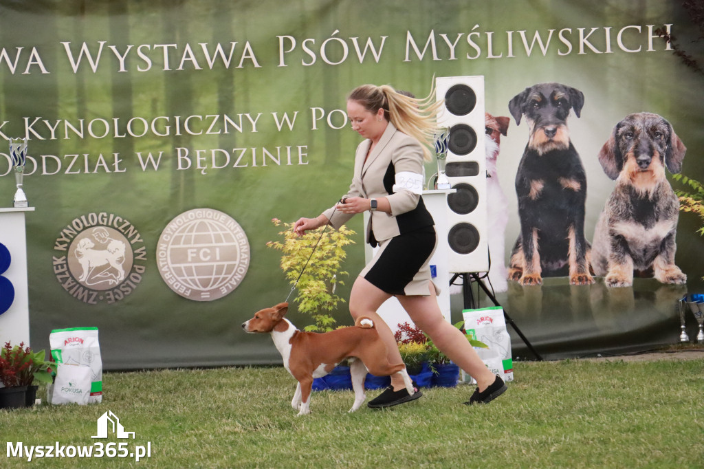 Fotorelacja - Wystawa Psów Rasowych GNIAZDÓW 2024r. SOBOTA II