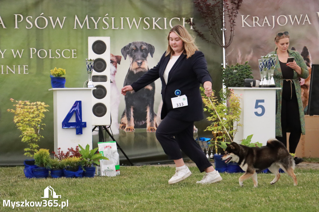 Fotorelacja - Wystawa Psów Rasowych GNIAZDÓW 2024r. SOBOTA II