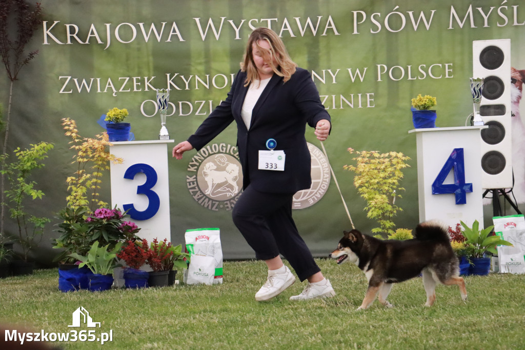 Fotorelacja - Wystawa Psów Rasowych GNIAZDÓW 2024r. SOBOTA II