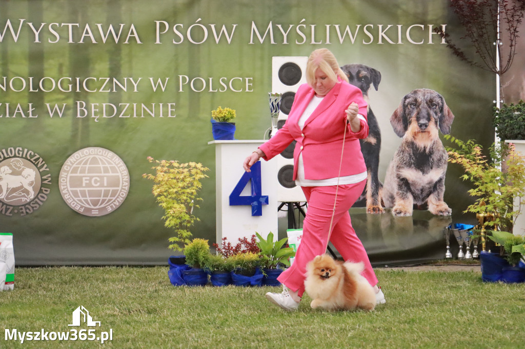 Fotorelacja - Wystawa Psów Rasowych GNIAZDÓW 2024r. SOBOTA II