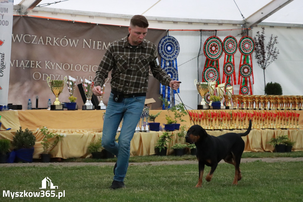 Fotorelacja - Wystawa Psów Rasowych GNIAZDÓW 2024r. SOBOTA II