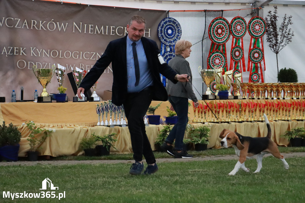 Fotorelacja - Wystawa Psów Rasowych GNIAZDÓW 2024r. SOBOTA II