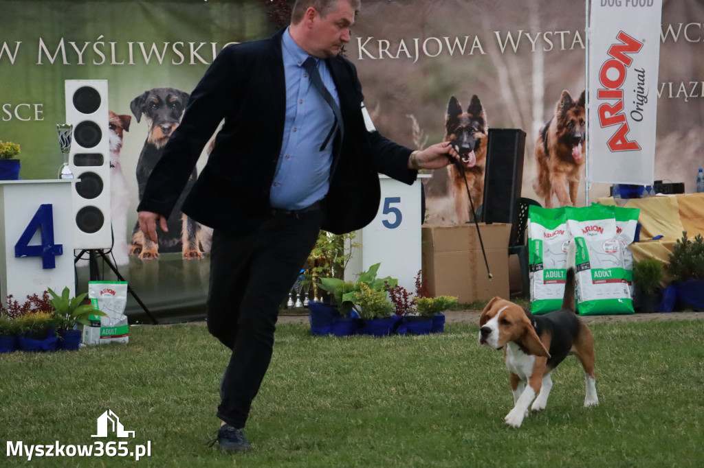 Fotorelacja - Wystawa Psów Rasowych GNIAZDÓW 2024r. SOBOTA II