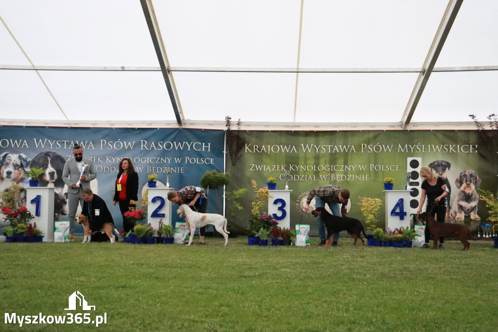 Fotorelacja - Wystawa Psów Rasowych GNIAZDÓW 2024r. SOBOTA II