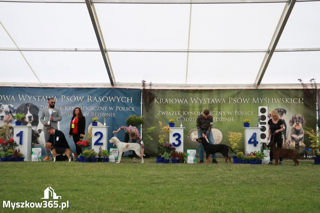 Fotorelacja - Wystawa Psów Rasowych GNIAZDÓW 2024r. SOBOTA II