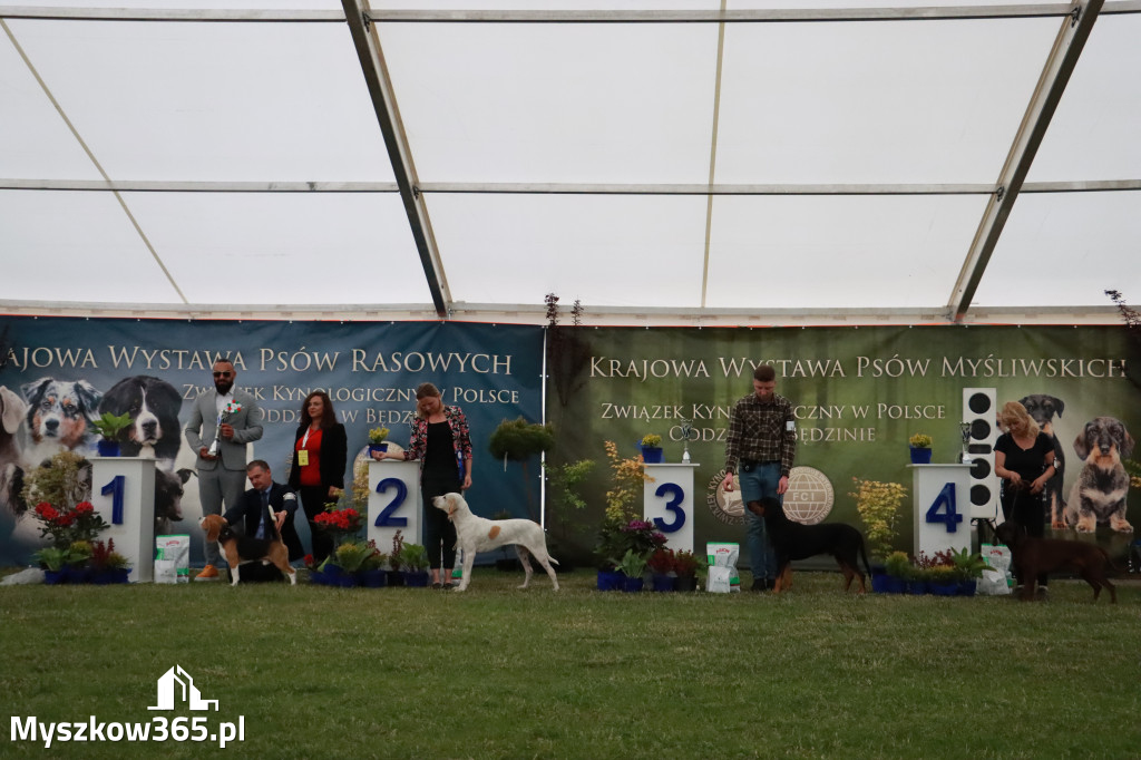 Fotorelacja - Wystawa Psów Rasowych GNIAZDÓW 2024r. SOBOTA II