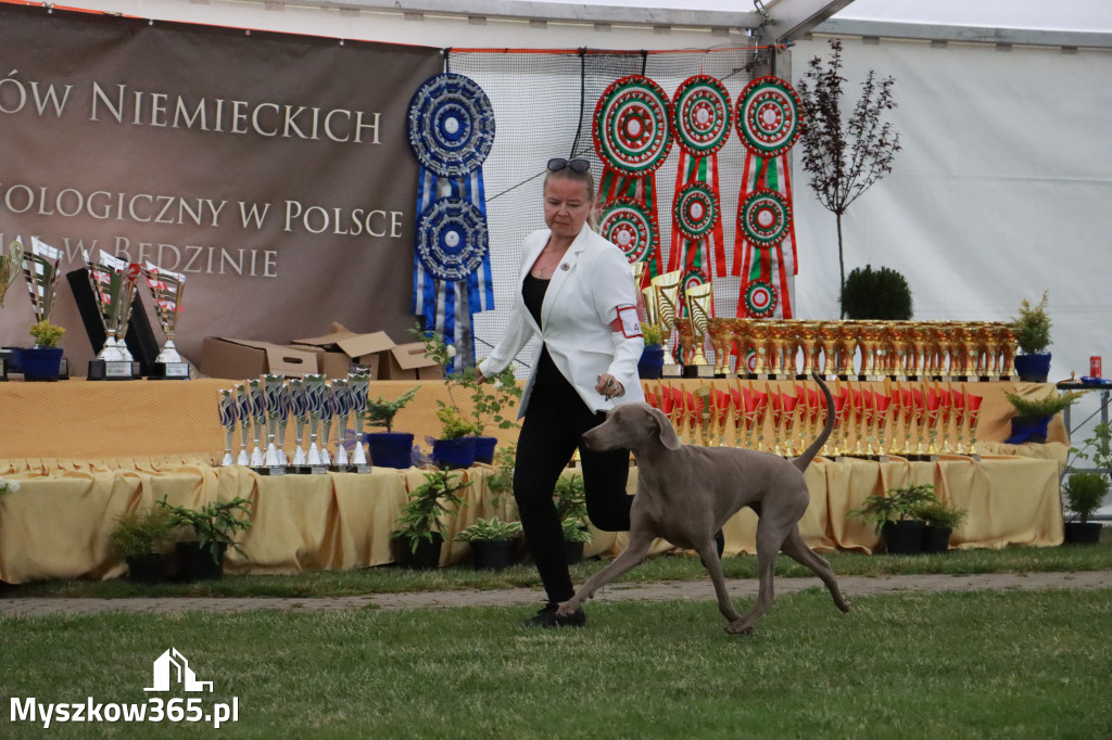 Fotorelacja - Wystawa Psów Rasowych GNIAZDÓW 2024r. SOBOTA II