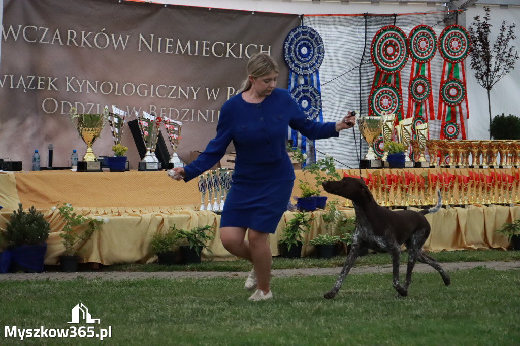 Fotorelacja - Wystawa Psów Rasowych GNIAZDÓW 2024r. SOBOTA II