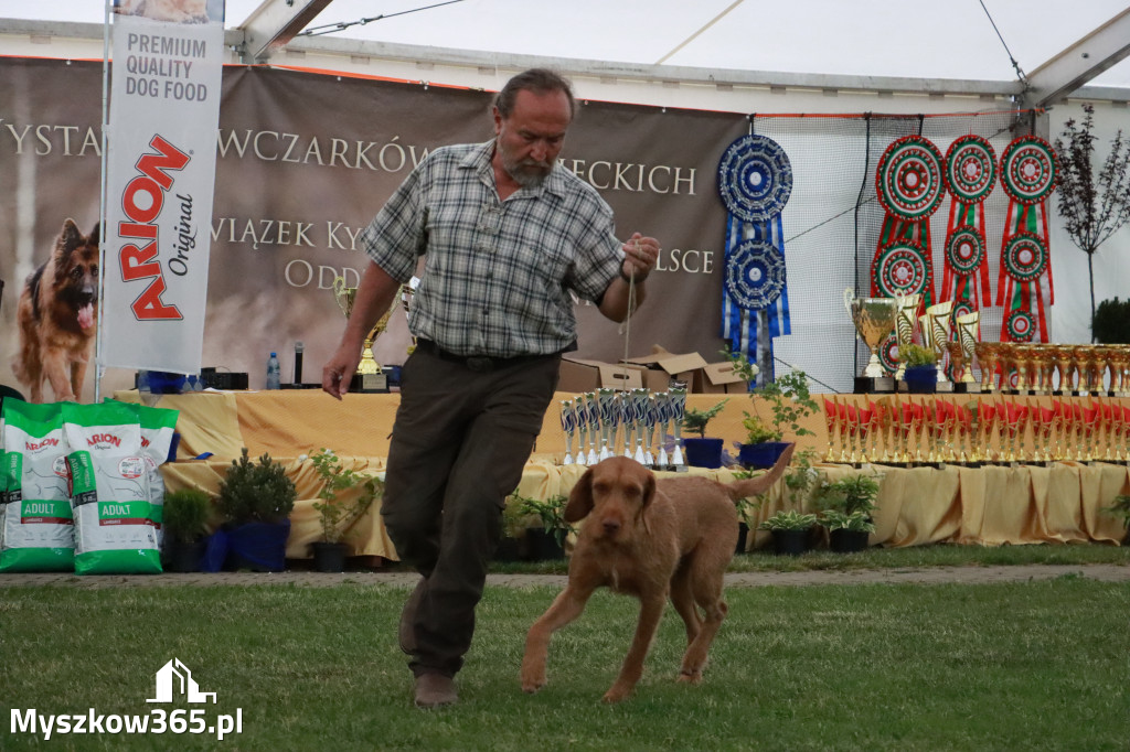 Fotorelacja - Wystawa Psów Rasowych GNIAZDÓW 2024r. SOBOTA II