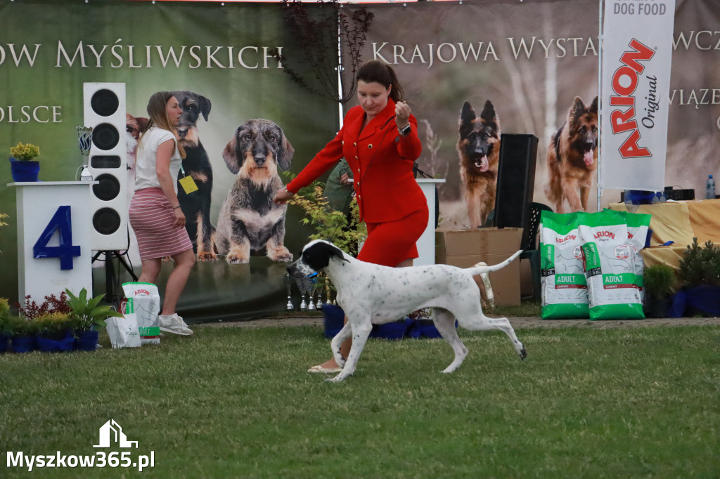 Fotorelacja - Wystawa Psów Rasowych GNIAZDÓW 2024r. SOBOTA II