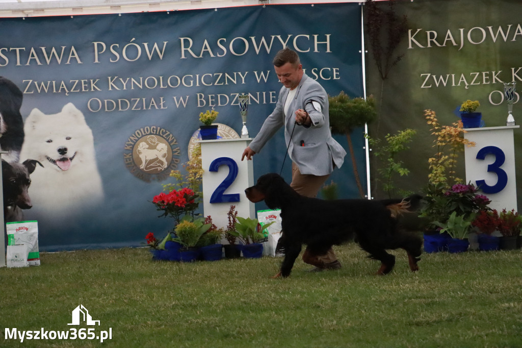 Fotorelacja - Wystawa Psów Rasowych GNIAZDÓW 2024r. SOBOTA II