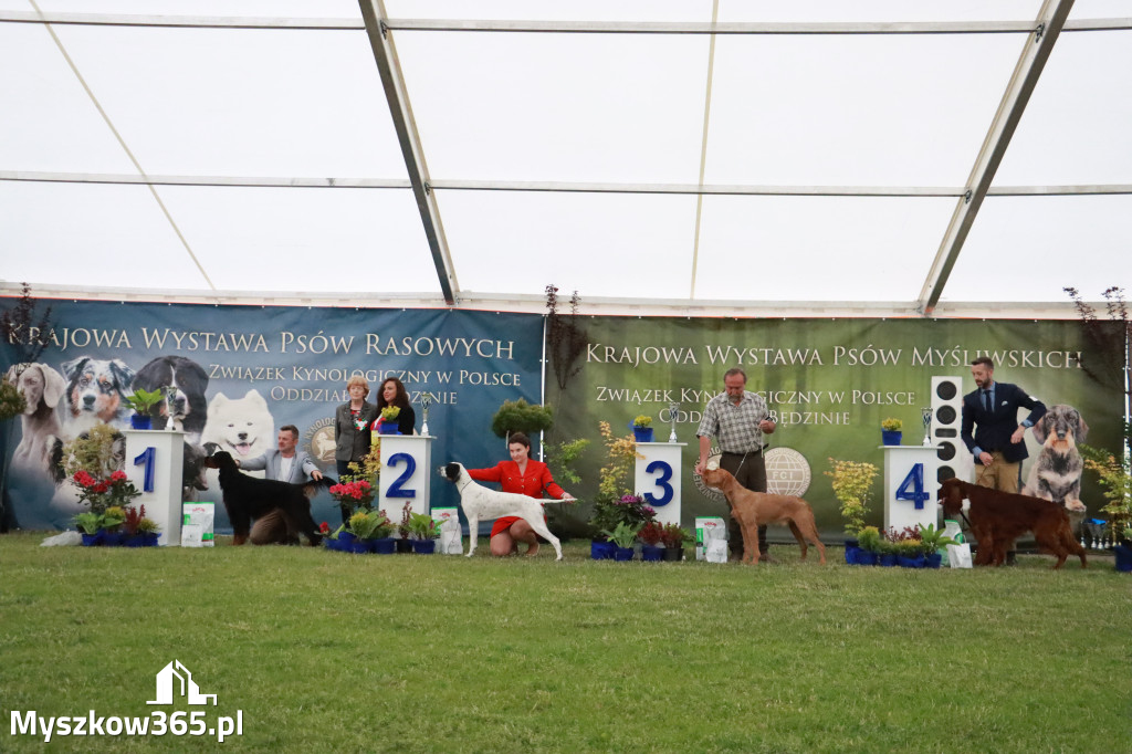 Fotorelacja - Wystawa Psów Rasowych GNIAZDÓW 2024r. SOBOTA II