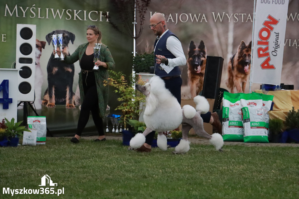 Fotorelacja - Wystawa Psów Rasowych GNIAZDÓW 2024r. SOBOTA II