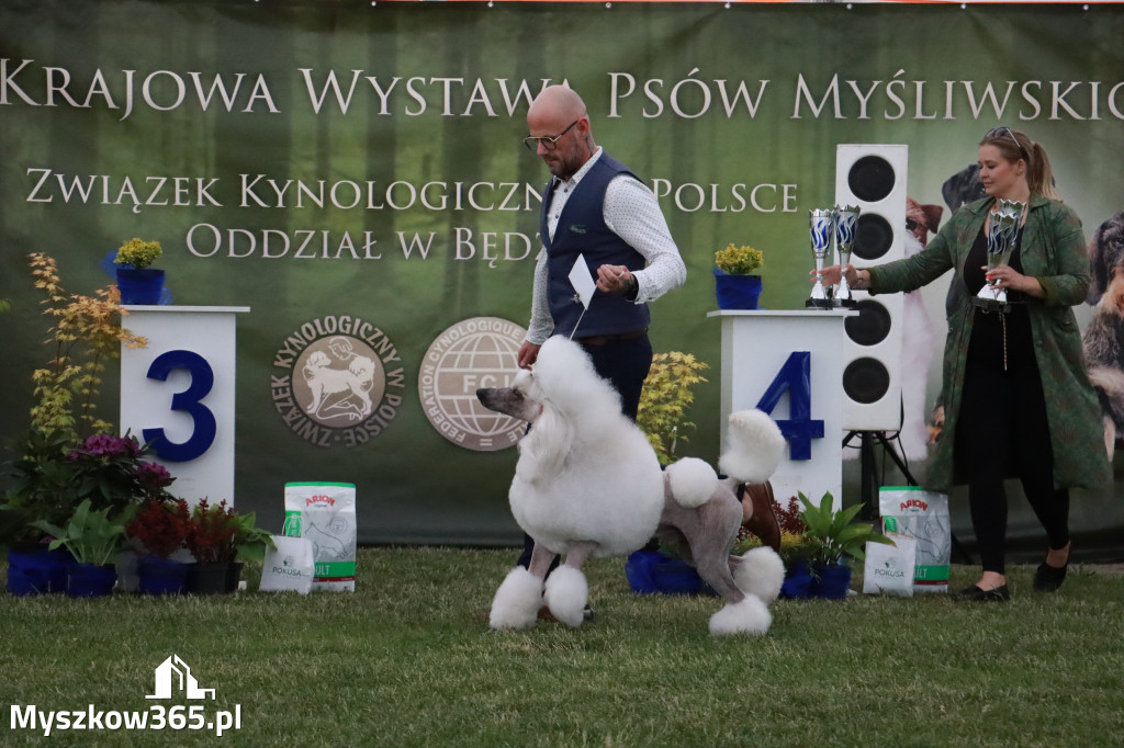 Fotorelacja - Wystawa Psów Rasowych GNIAZDÓW 2024r. SOBOTA II