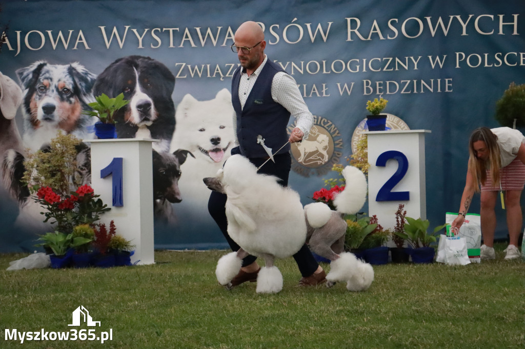 Fotorelacja - Wystawa Psów Rasowych GNIAZDÓW 2024r. SOBOTA II