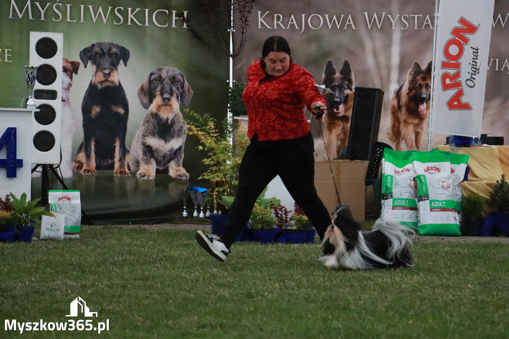 Fotorelacja - Wystawa Psów Rasowych GNIAZDÓW 2024r. SOBOTA II