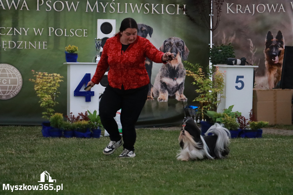 Fotorelacja - Wystawa Psów Rasowych GNIAZDÓW 2024r. SOBOTA II