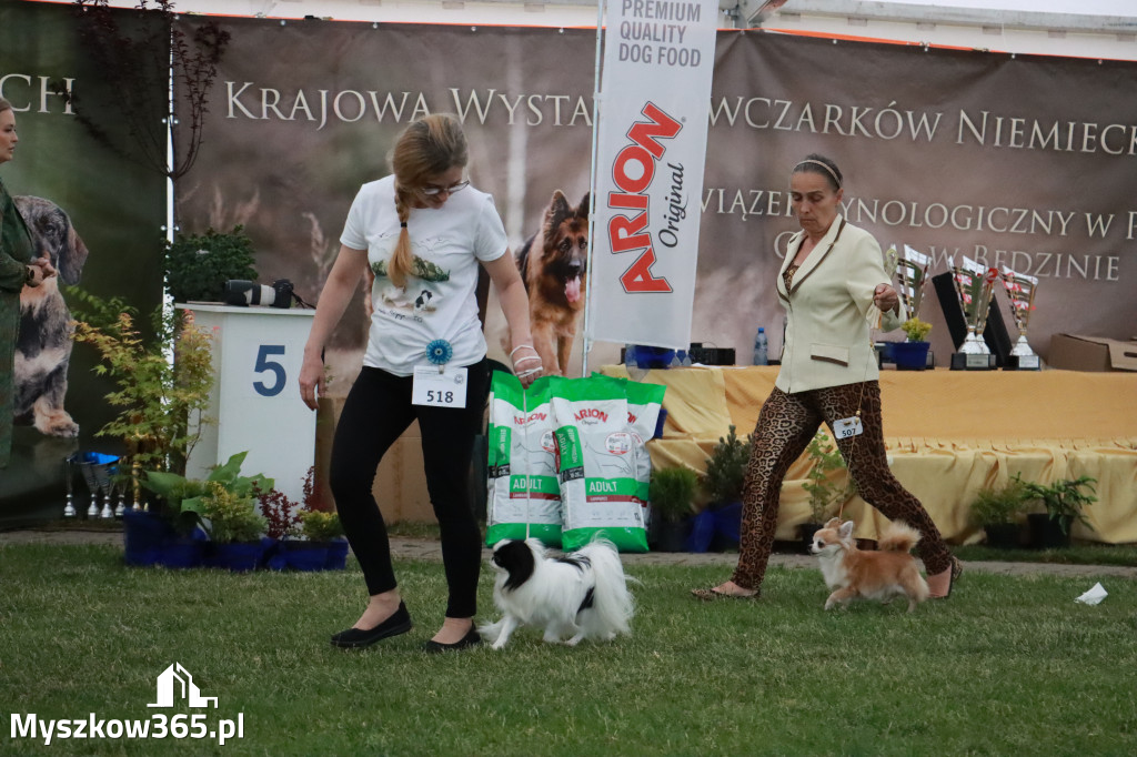 Fotorelacja - Wystawa Psów Rasowych GNIAZDÓW 2024r. SOBOTA II