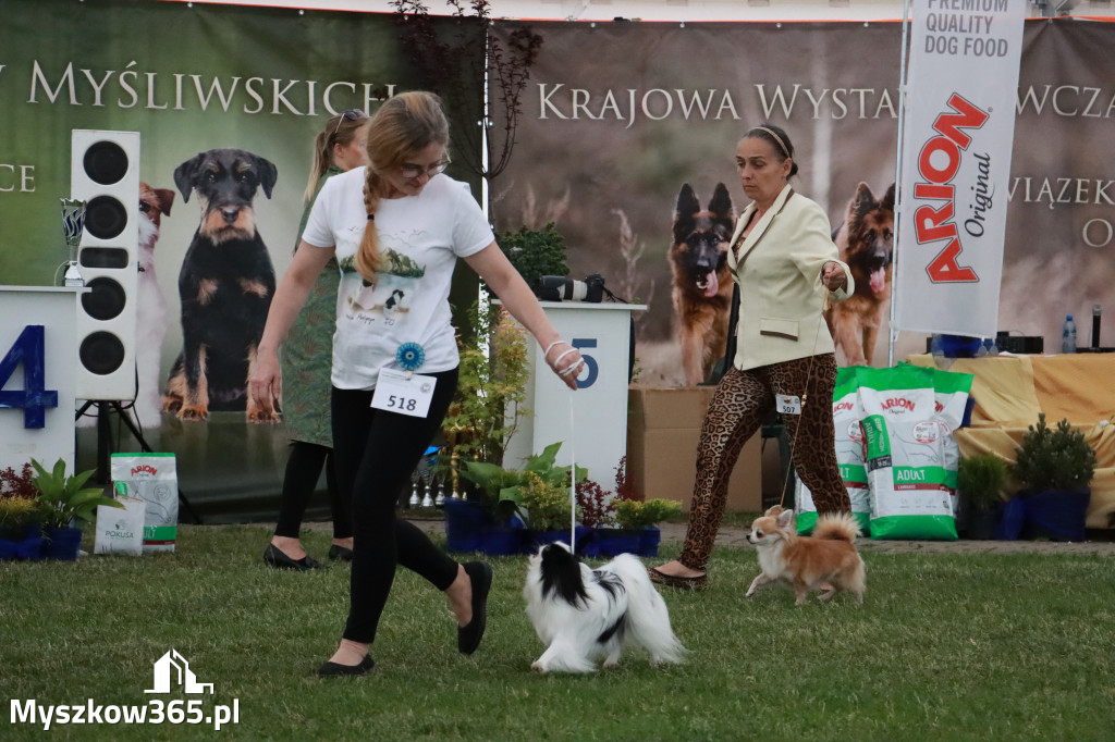 Fotorelacja - Wystawa Psów Rasowych GNIAZDÓW 2024r. SOBOTA II