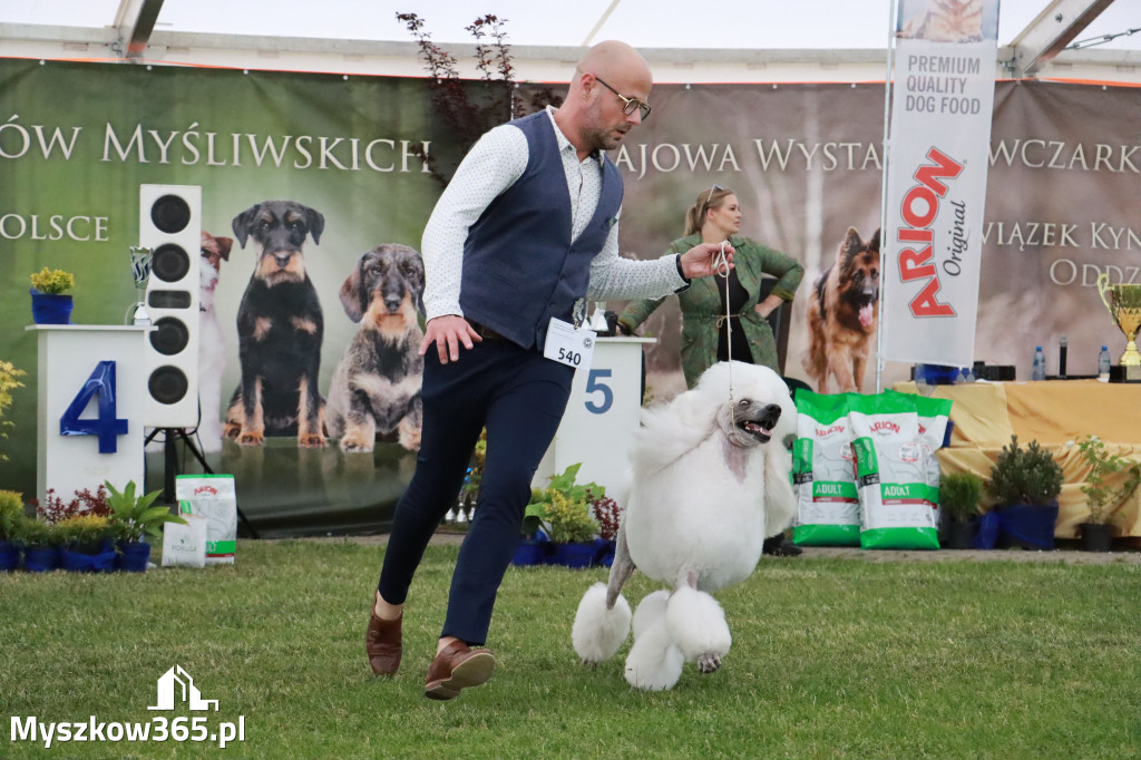 Fotorelacja - Wystawa Psów Rasowych GNIAZDÓW 2024r. SOBOTA II