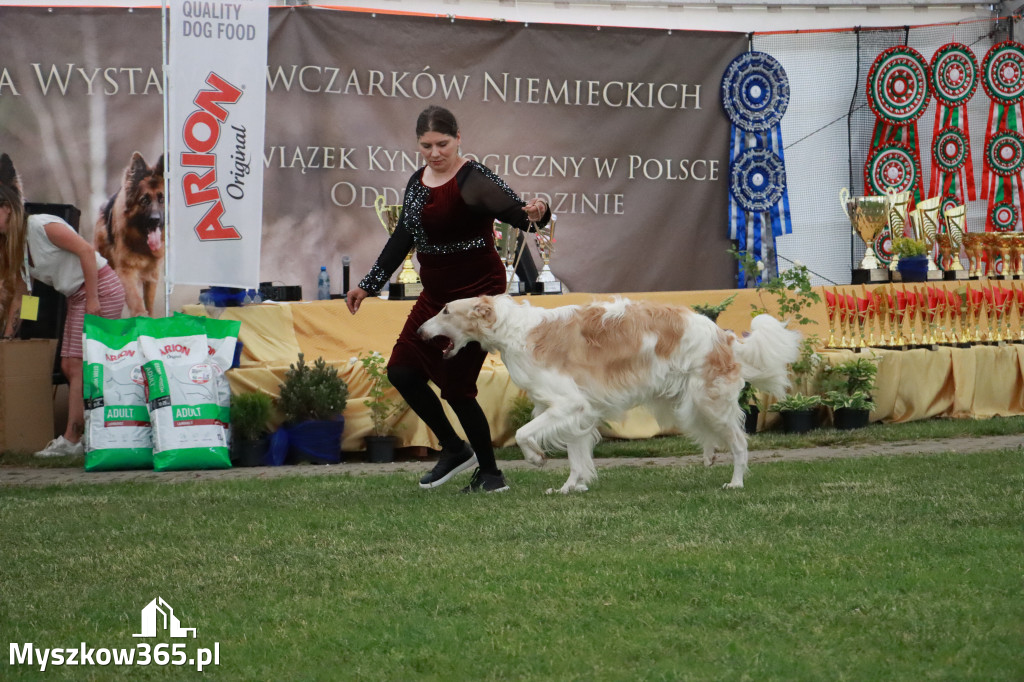 Fotorelacja - Wystawa Psów Rasowych GNIAZDÓW 2024r. SOBOTA II