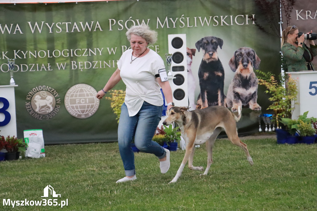 Fotorelacja - Wystawa Psów Rasowych GNIAZDÓW 2024r. SOBOTA II