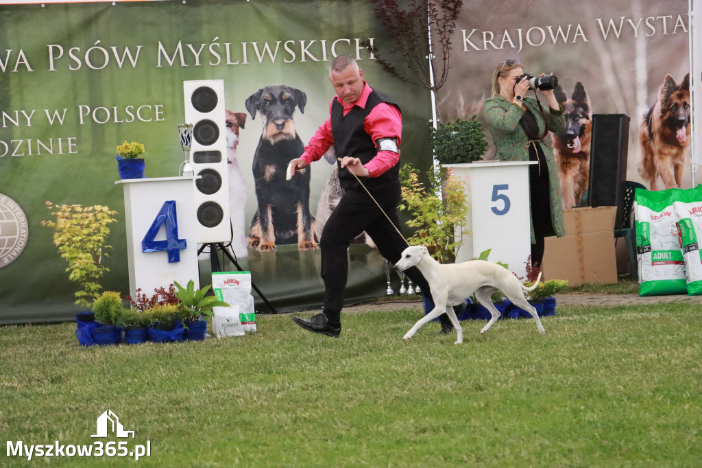 Fotorelacja - Wystawa Psów Rasowych GNIAZDÓW 2024r. SOBOTA II