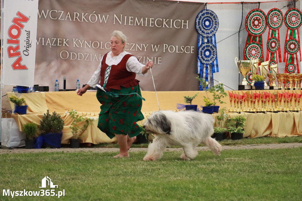 Fotorelacja - Wystawa Psów Rasowych GNIAZDÓW 2024r. SOBOTA II