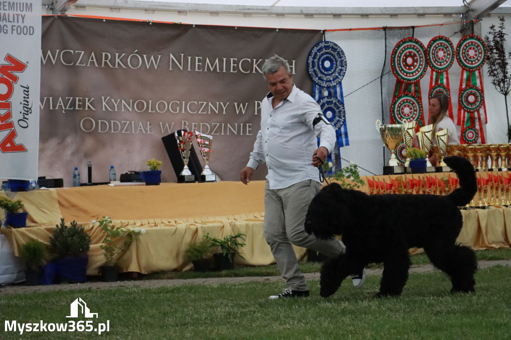 Fotorelacja - Wystawa Psów Rasowych GNIAZDÓW 2024r. SOBOTA II