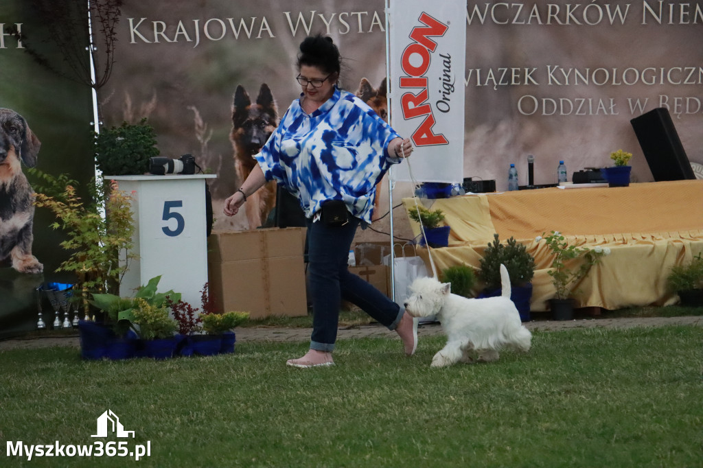 Fotorelacja - Wystawa Psów Rasowych GNIAZDÓW 2024r. SOBOTA II