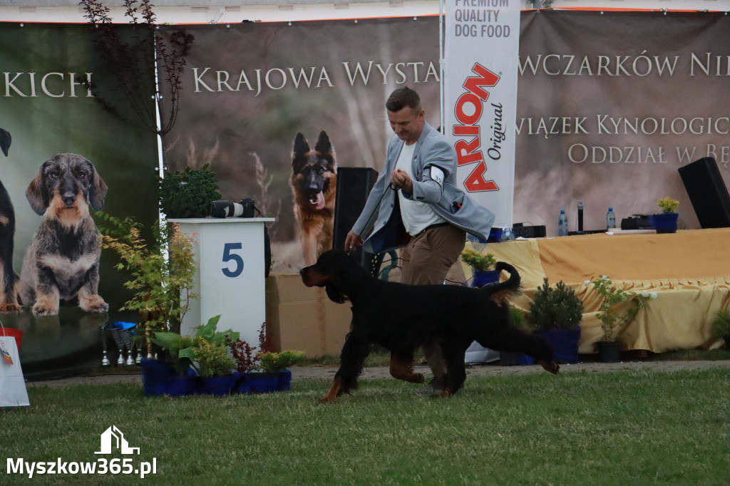 Fotorelacja - Wystawa Psów Rasowych GNIAZDÓW 2024r. SOBOTA II