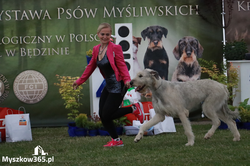 Fotorelacja - Wystawa Psów Rasowych GNIAZDÓW 2024r. SOBOTA II