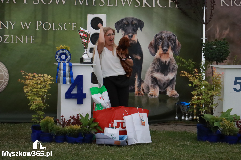 Fotorelacja - Wystawa Psów Rasowych GNIAZDÓW 2024r. SOBOTA II